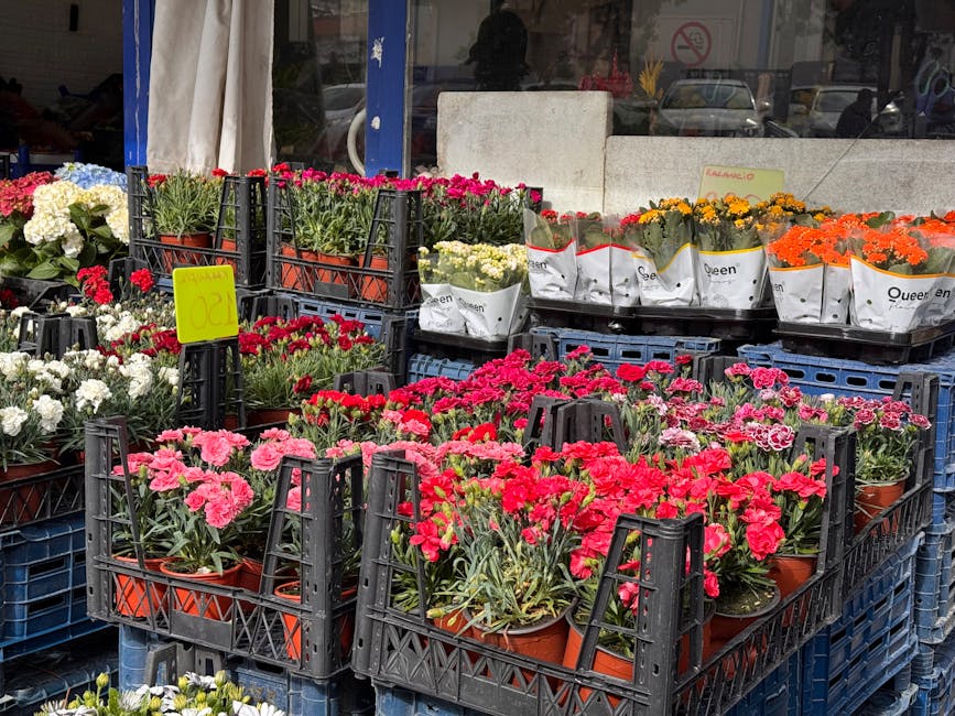 Outdoor display of vibrant potted flowers arranged in black plastic crates outside a flower shop. The selection includes pink, red, white, yellow, and orange blooms, with some wrapped in white paper b